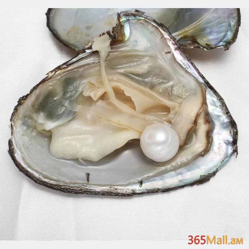 Հավաքածու Dream Pearls։  արծաթե վզնոց կախազարդով և ոստրե անակնկալ մարգարիտով