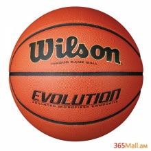 Բասկետբոլի գնդակ Wilson