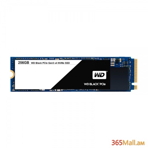 256GB SSD M.2 WD BLACK WDS256G1X0C