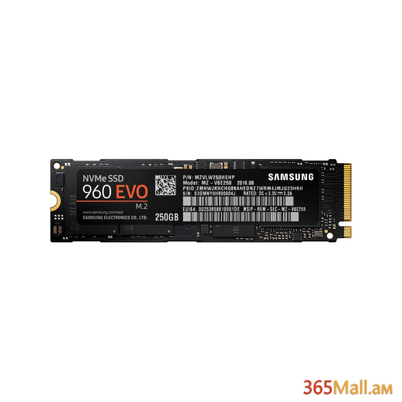 250GB SSD M.2 Samsung 960 EVO MZ-V6E250